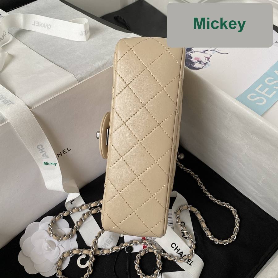 【S】$123=820CNY｜Chanel(AS1787-4)｜Item ID-01383